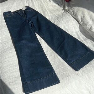 J Crew Wide-Leg Blue Jeans